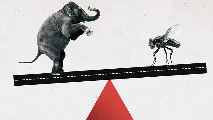 Слон и муха